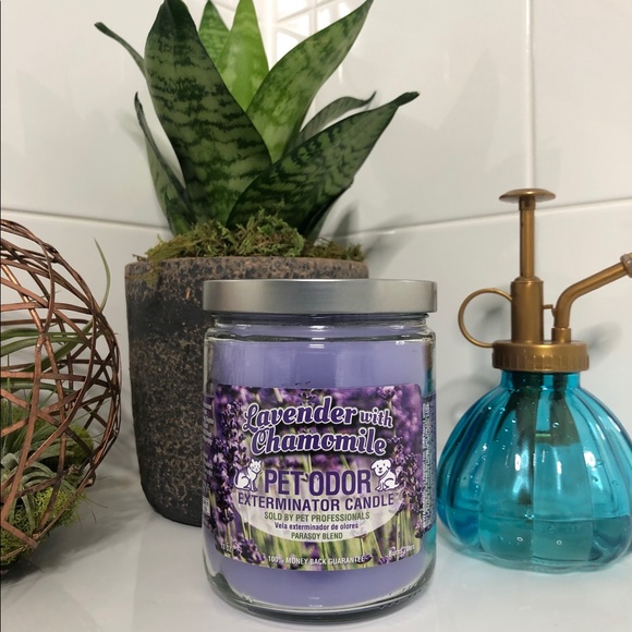 Pet Odor Exterminator Other - 💜✨Lavender and Chamomile Pet Odor Candle 💟